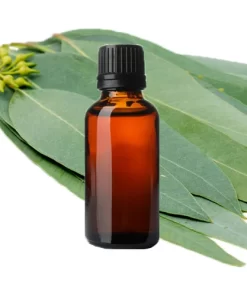 اسانس روغنی اکالیپتوس برای شمع